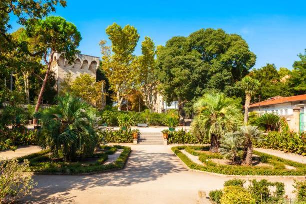 Le Studio De La Comedie, Montpellier, Hyper-Centre Apartment Bagian luar foto